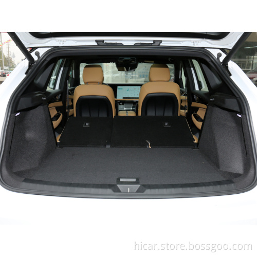 Good quality Electric Car Young People First Car SUV